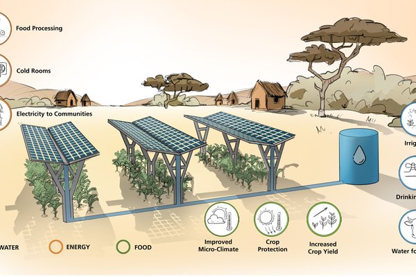 APV-Afrika-Illustration_2000px.jpg