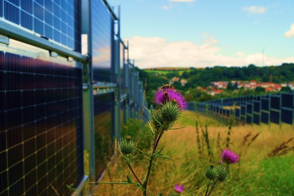 Agri-PV Natur