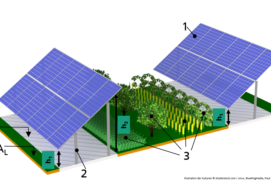 Case02_interspace_DE