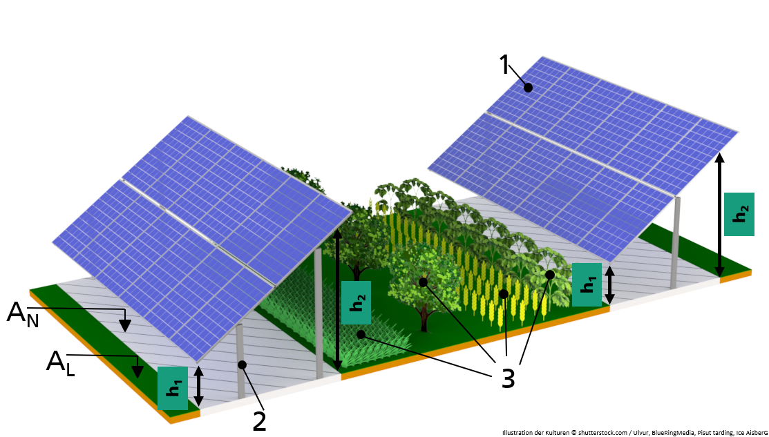 Case02_interspace_DE