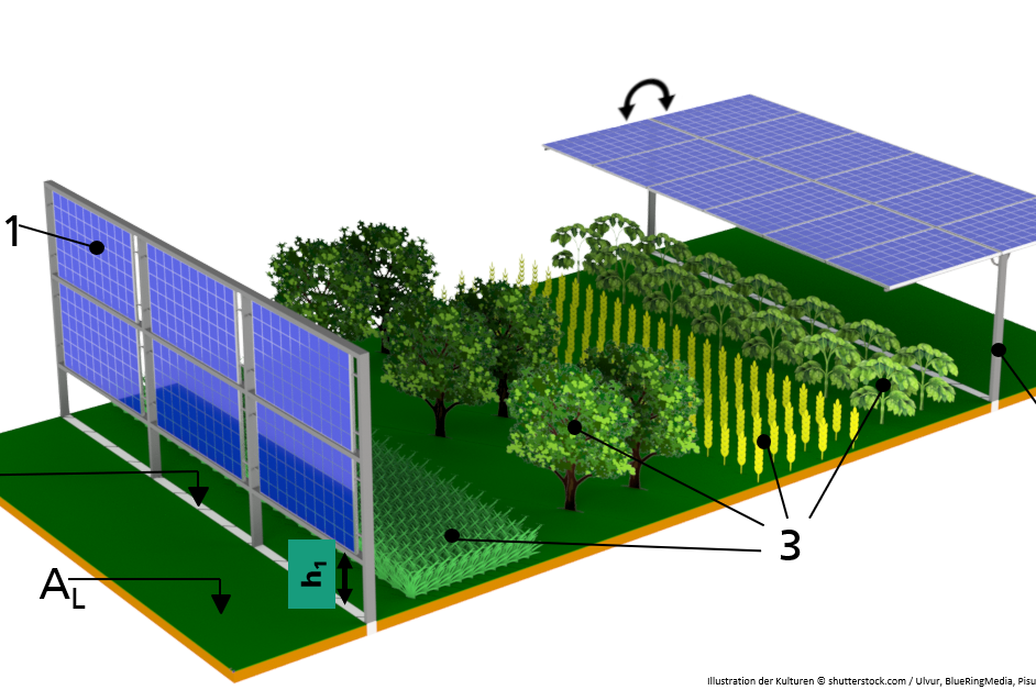 Case03_interspace_DE