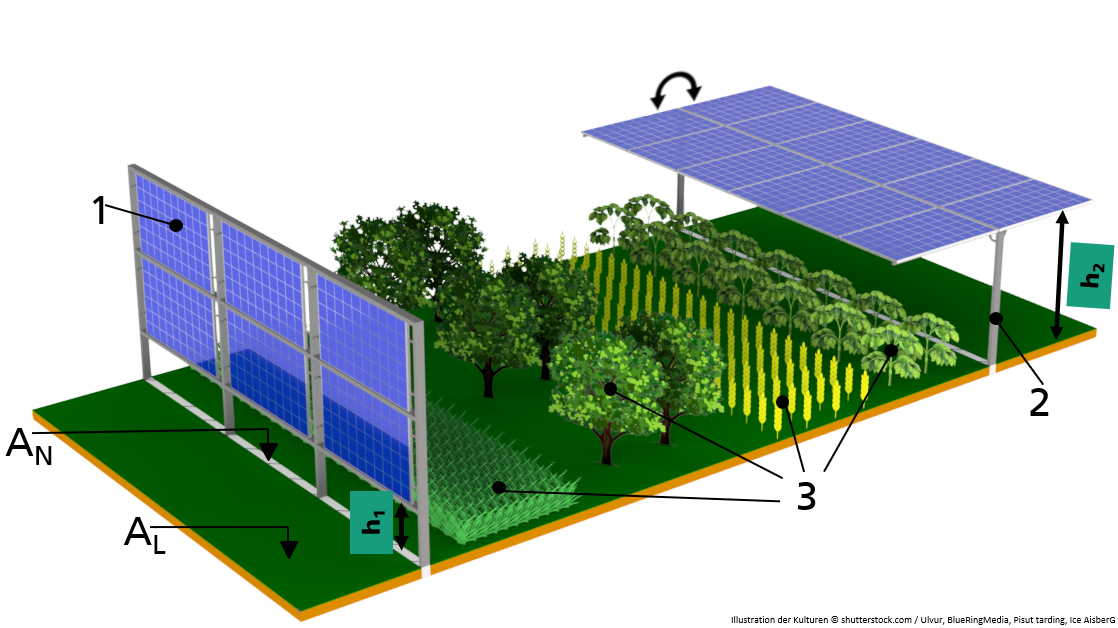 Case03_interspace_DE