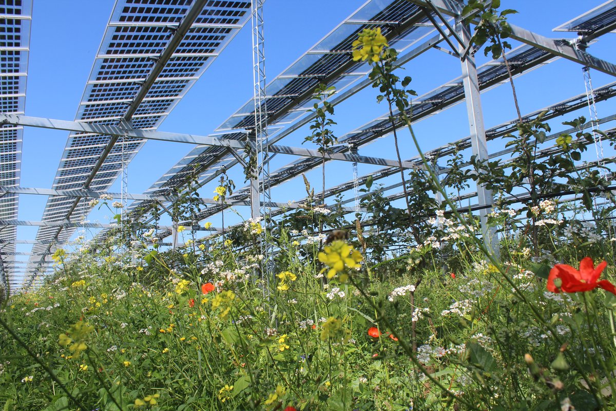 IMG_4615© Fraunhofer ISE